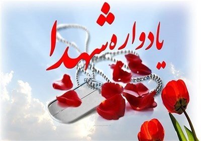 یادواره ۲۵۶ شهید شهرستان پارس آباد برگزار شد