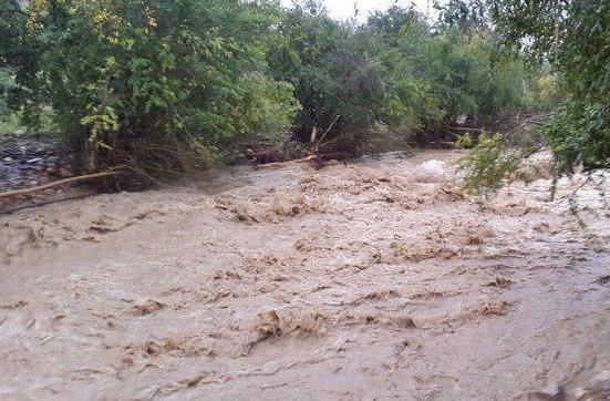 اجرای مطالعات جمع آوری آب های سطحی در ۸ شهر گلستان 