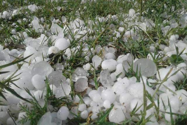 تگرگ به بیش از ۳۰۰ هکتار از مزارع پیاز روستای سرزه شمیل خسارت وارد کرد