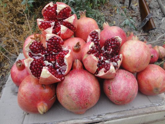 برگزاری جشنواره انار تفت از سوم تا ششم آبان ماه جاری