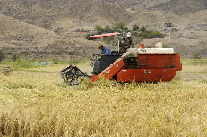 سالانه باید ۱۲۰۰ دستگاه ماشین آلات به بخش کشاورزی افزوده شود 