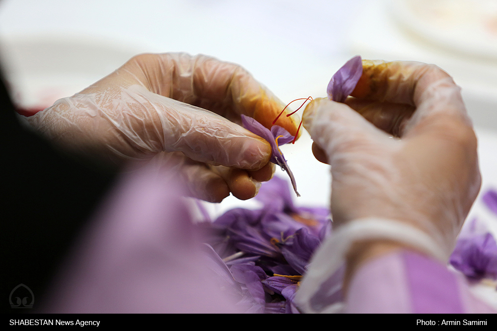 دورهمی زعفرانی برای کمک برنامه های فرهنگی کانون و مسجد 