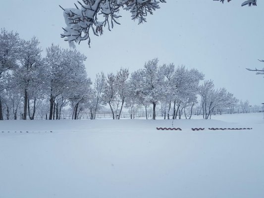 بارش ۵۰ سانتی متری برف در بیهود قاین/ دما به ۱۸ درجه زیر صفر می رسد