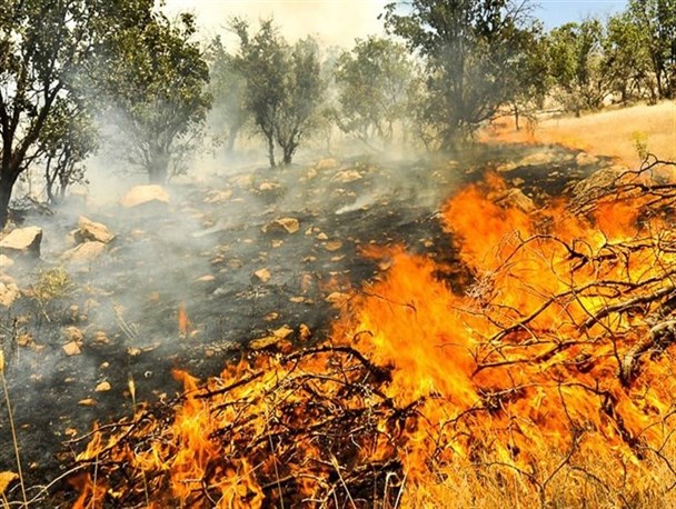 اختصاص ۱۵ میلیارد تومان برای مقابله با آتش‌سوزی جنگل‌ها 