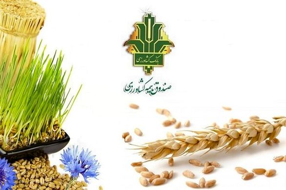 بیش از ۱۱ هزار هکتار از اراضی باغی و زراعی تحت پوشش بیمه است