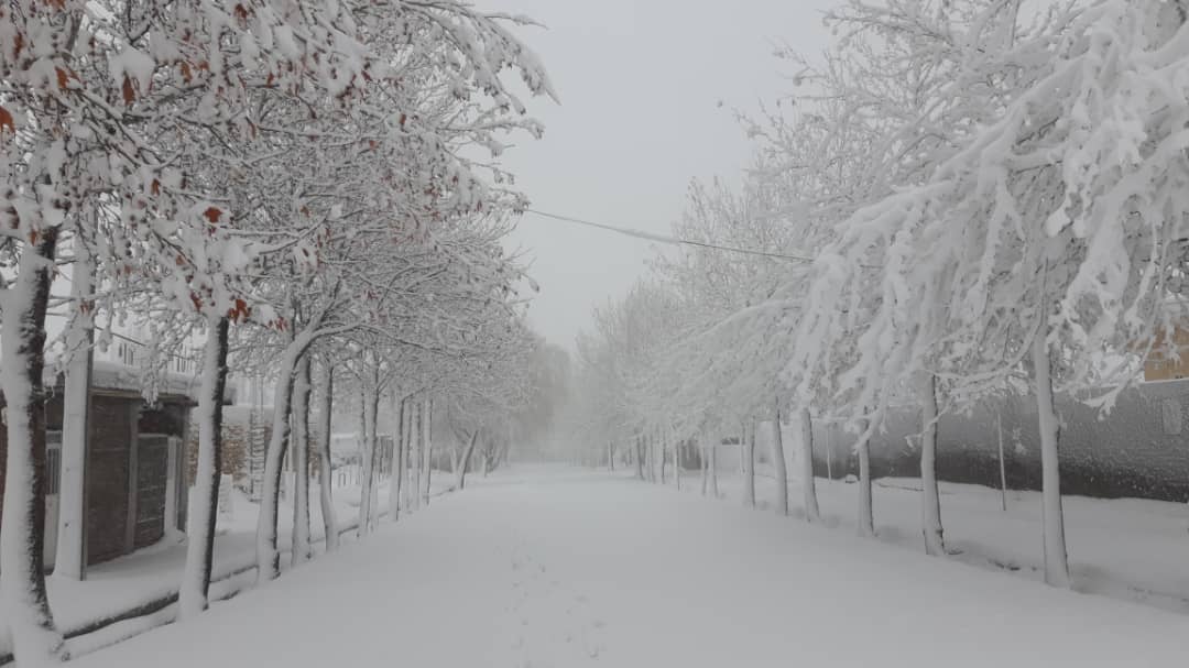 آغاز بارندگی ها از امشب