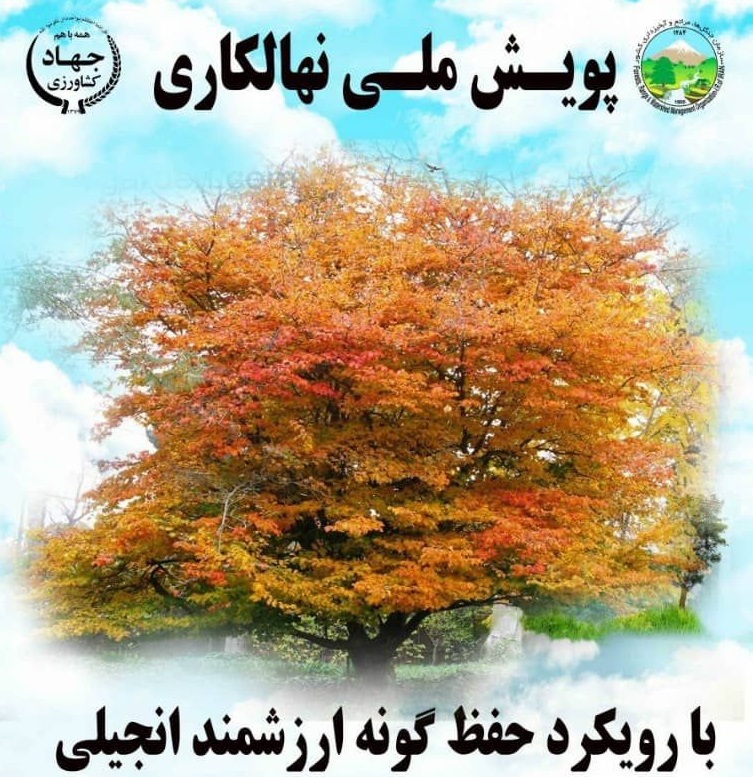 پویش ملی نهالکاری در گیلان برگزار شد