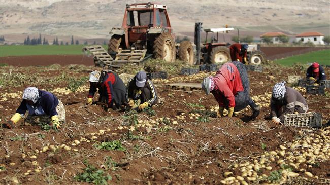 جنگ اقتصادی صهیونیستها علیه مردم فلسطین 