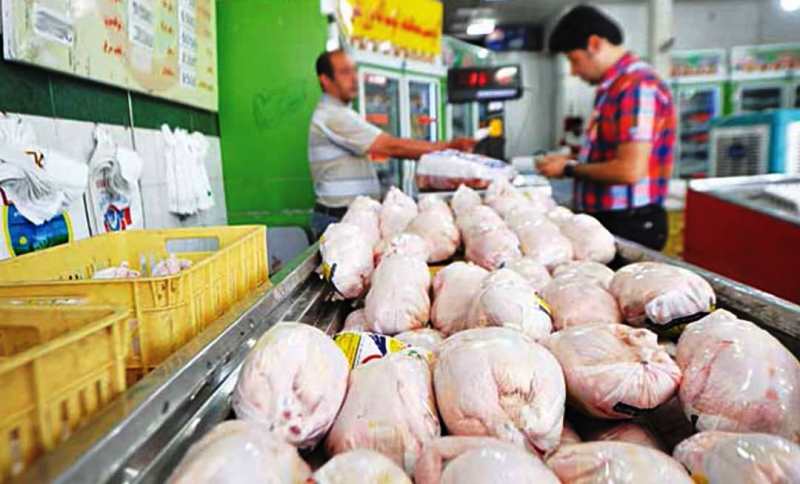 احتمال افزایش قیمت گوشت مرغ در گلستان