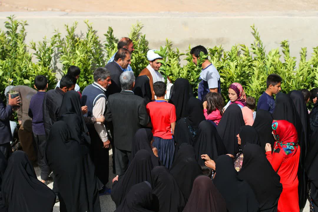 کاشت هزار اصله نهال مرکبات در روستاهای زرین‌آباد توسط روحانی جهادی 