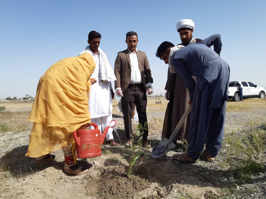     آغاز زندگی مشترک زوج قلعه گنجی با کاشت نهال