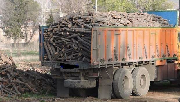  جزئیات متلاشی شدن«موریانه جنگل» بزرگترین باند قاچاقچیان چوب شمال کشور