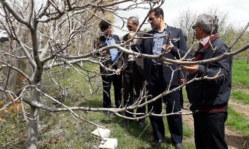 کشاورزان خراسان شمالی به سوگ نشسته اند 