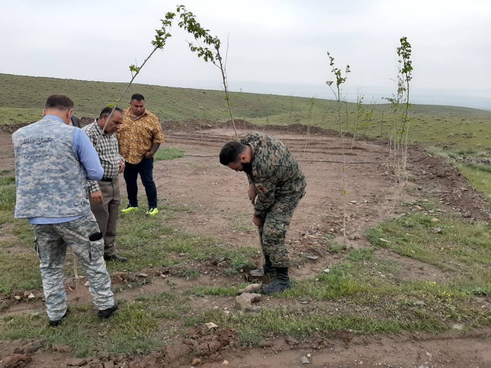 آزادسازی ۱۲ هکتار از اراضی کشاورزی شهرستان اشتهارد در قالب قرارگاه صیانت از حقوق بیت المال