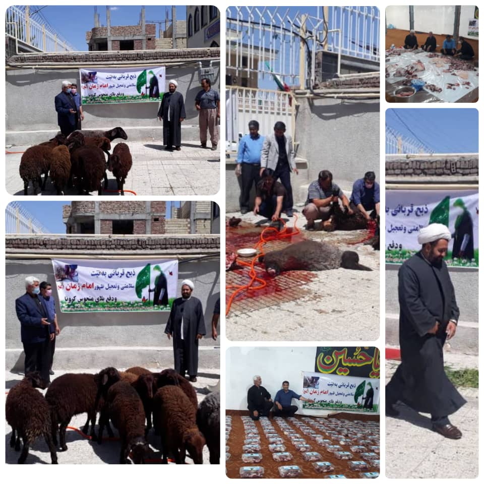 قربانی هشت رأس گوسفند در ملکان به نیت سلامتی امام زمان