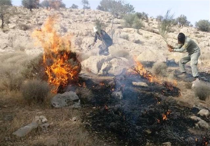 بخشی از آتش در منطقه حفاظت شده کوه خائیز مهار شد