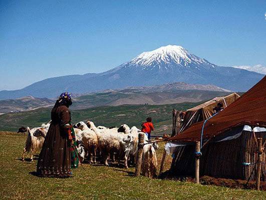  ۱۴۷ هزار خانوار روستایی و عشایری فارس تحت پوش بیمه  قرار دارند 