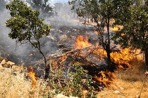 اثرات مخرب سوزاندن بقایای گیاهی  بر خاک