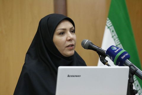 صدور ضمانت‌نامه ارزان‌تر برای واردات موقت کالا توسط صندوق ضمانت صادرات ایران