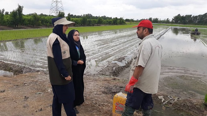  اجرای طرح ملی «بسیج همگام با کشاورز» در ۱۵۰ روستای ساری