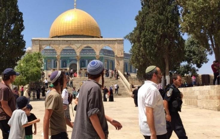 حمله ۸۰۰ شهرک نشین در روز عرفه به مسجدالاقصی