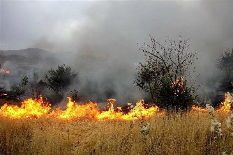 مهار آتش سوزی در کوه «سور» بخش سیمکان جهرم 