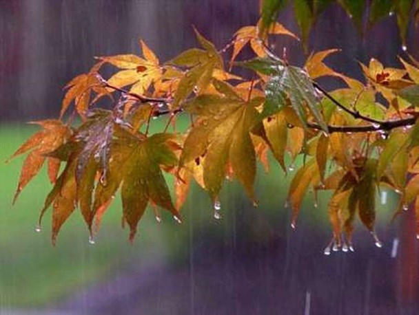 کاهش بارندگی در استان لرستان