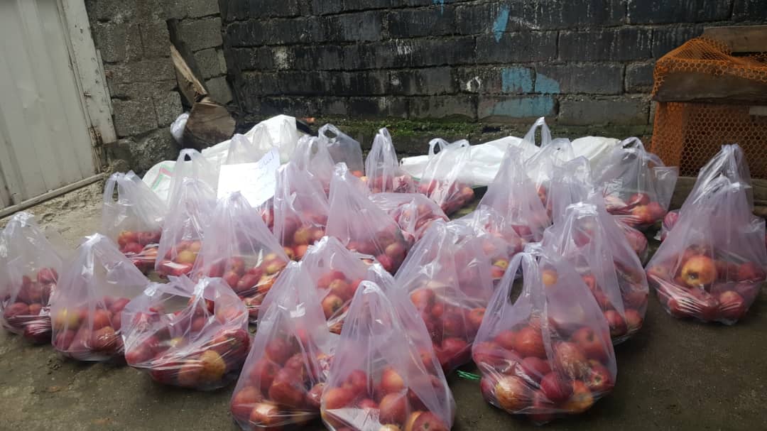 ۱۰۰ کیلو سیب قرمز بین نیازمندان توزیع شد