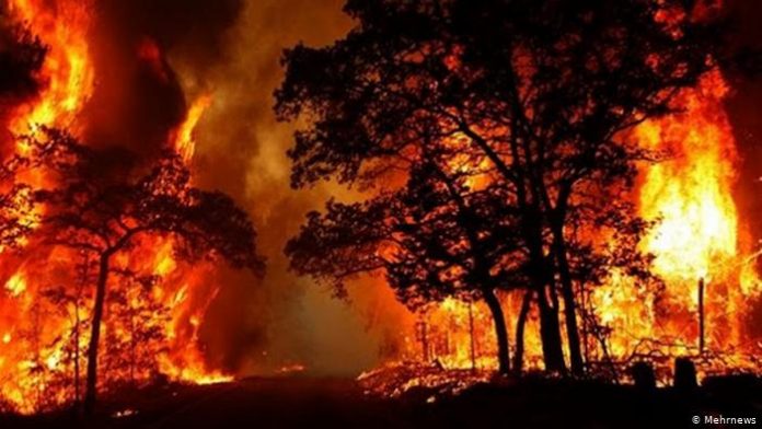 آتش سوزی یک و نیم هکتار از اراضی حیران آستارا مهار شد