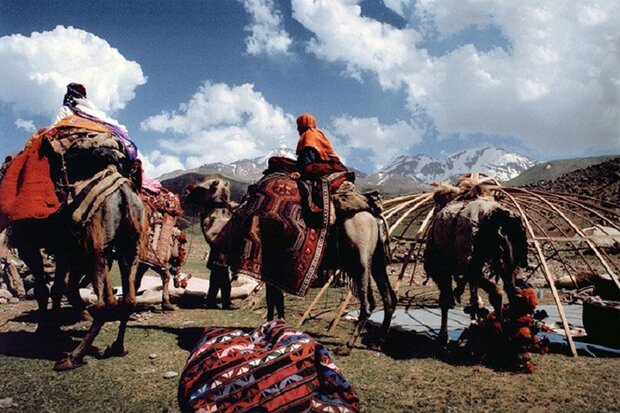 کوچ بهاره ۲۸ هزار خانوار عشایری در فارس آغاز می شود