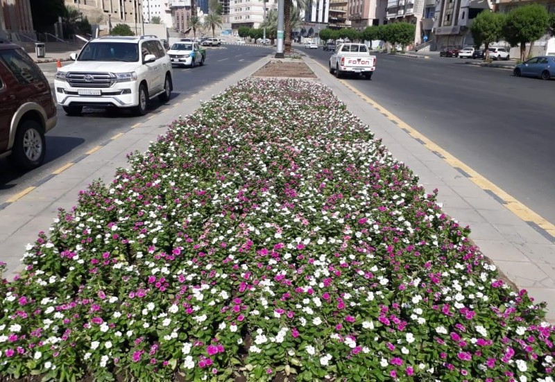 مسیر «مسجدالحرام» گلکاری شد