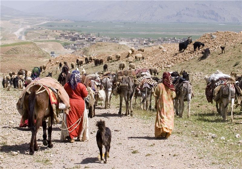 مبارزه با قاچاق دام با صدور کارت تردد عشایری در فارس