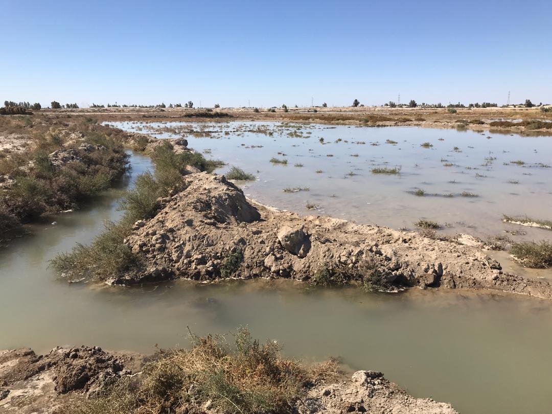  لزوم روزرسانی حقآبه استان ‎خوزستان 