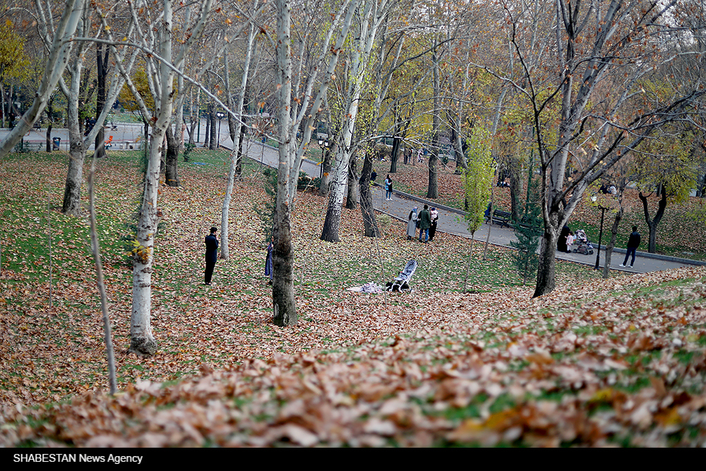 حدود ۹ میلیار تومان برای پروژه های منابع طبیعی شهرستان بافق هزینه شد  