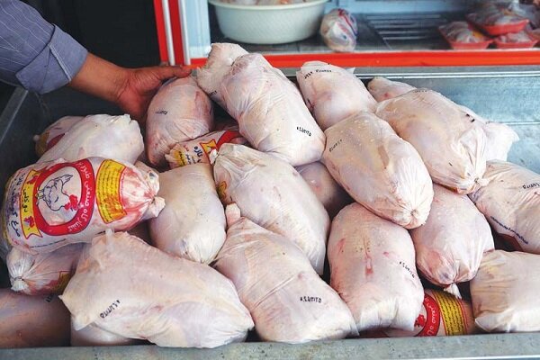 کاهش ۴۰درصدی تقاضای خرید مرغ در مازندران/احتکار مرغ نداریم