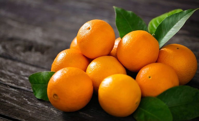 برداشت بیش از ۱۳۷ هزار تن پرتقال از اولین شهرستان تولیدکننده پرتقال در فارس