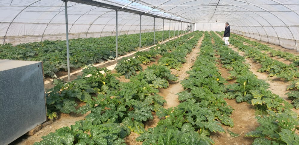حمایت از توسعه بخش کشاورزی شیراز و زرقان 
