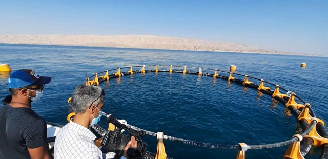 امسال ۲ هزار تن ماهی در قفس های دریای خزر پرورش یافت