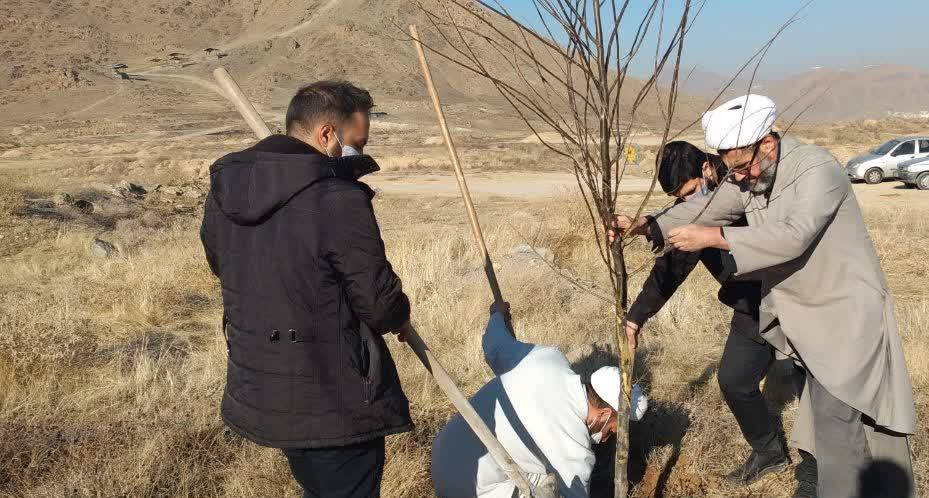 کاشت ۱۱۰ اصله نهال به نیت شهدای روحانی در دره گردو اراک