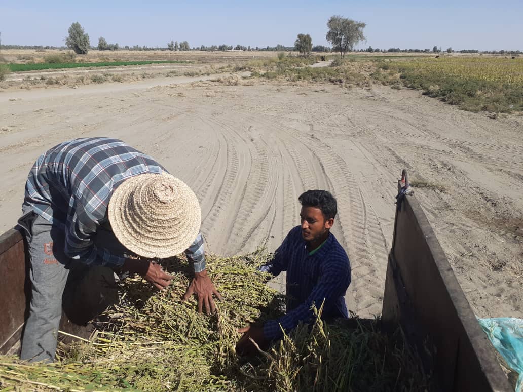 اجرای طرح خدمت رسانی شهید سلیمانی با محوریت کمک به نیازمندان 