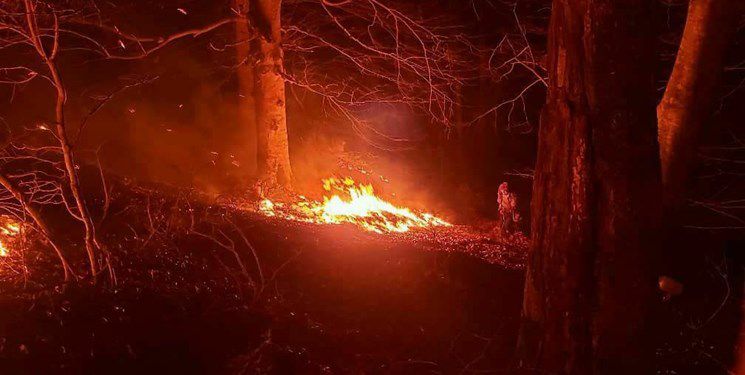 آتش‌‌سوزی در مسکن مهر رشت؛ وزش باد گرم موجب حریق در جنگل‌های گیلان شد