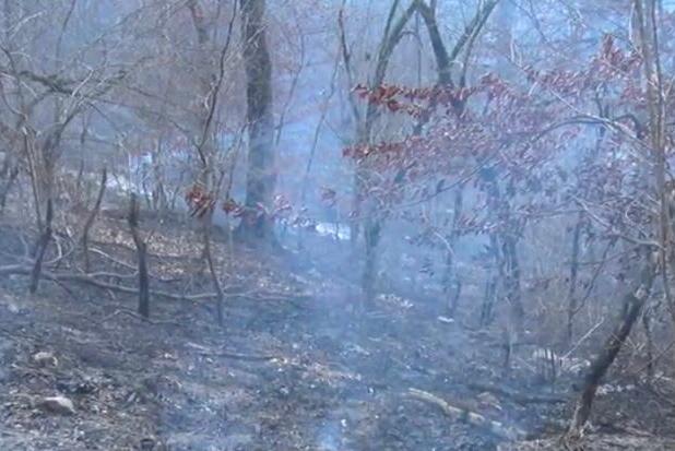 خسارت ۴۷ هکتار از اراضی جنگلی پارک ملی گلستان بر اثر آتش سوزی