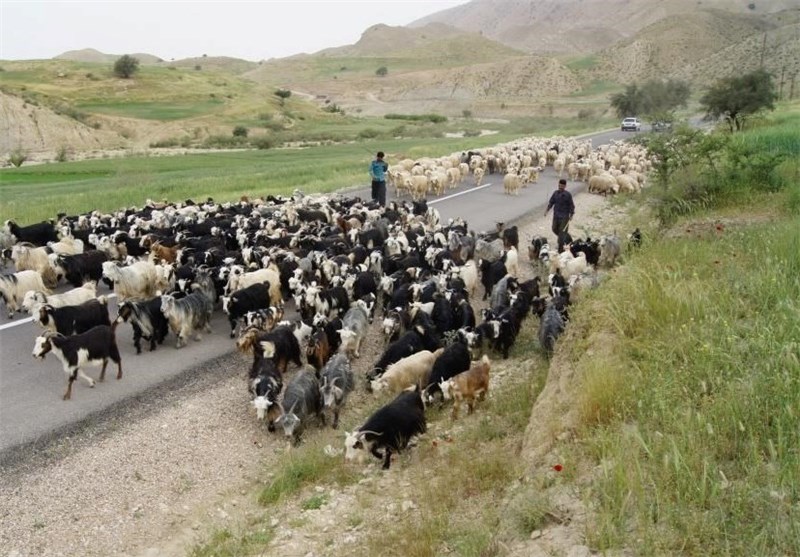 خدمات رسانی به عشایر در طول مسیر کوچ بهاره