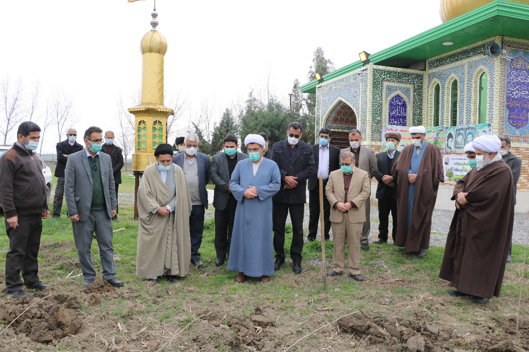 آغاز طرح درختکاری با غرس۱۰۰۰ اصله نهال صنوبر در بقاع متبرکه مازندران