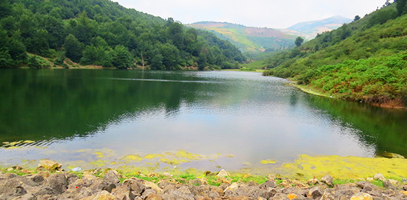 «آبیاری سنتی در گیلان» روایتی از میراب های زورگیر تا اقامه نماز باران