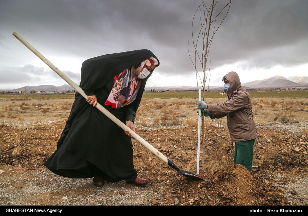 ترویج سنت حسنه درختکاری در استان همدان/ کاشت درخت عملی نیکو و ماندگار  