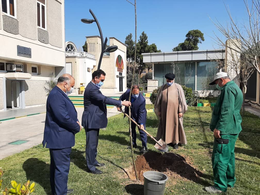 امیدواریم سنت درختکاری به شکل یک نهضت در کشور ما ادامه پیدا کند 