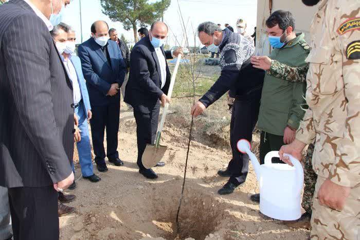  ۲۵۰ اصله نهال به یاد شهدا در پیشوا کاشته شد