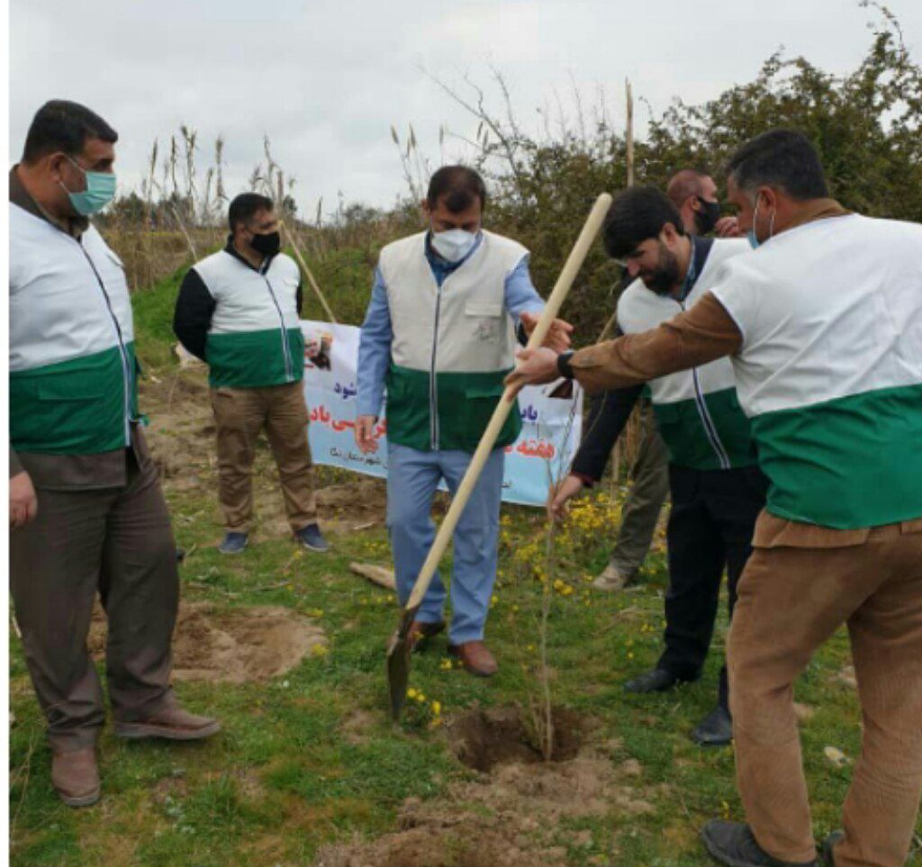 کاشت ۵۰ اصله نهال به همت خادمیاران کانون خدمت رضوی نکا