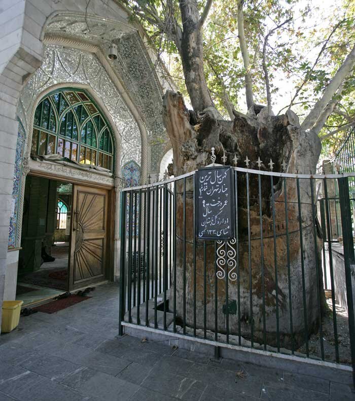 امامزاده یحیی(ع) در قلب طهران